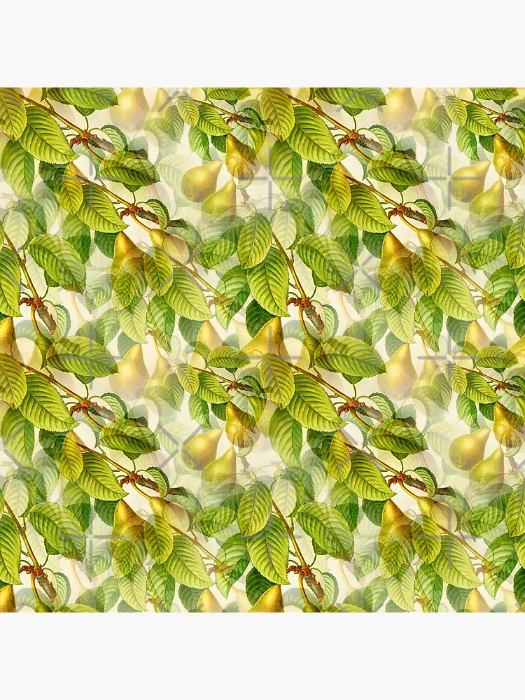 Thumbnail 5 of 5, Coasters (Set of 4), Pear Tree pattern designed and sold by RafaelLima7.