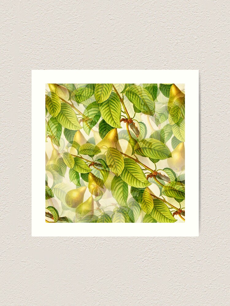 Thumbnail 1 of 3, Art Print, Pear Tree pattern designed and sold by RafaelLima7.