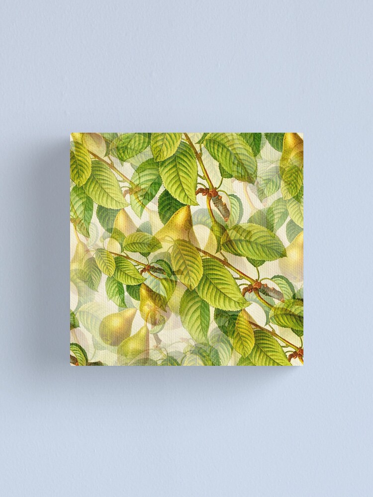 Thumbnail 1 of 3, Canvas Print, Pear Tree pattern designed and sold by RafaelLima7.