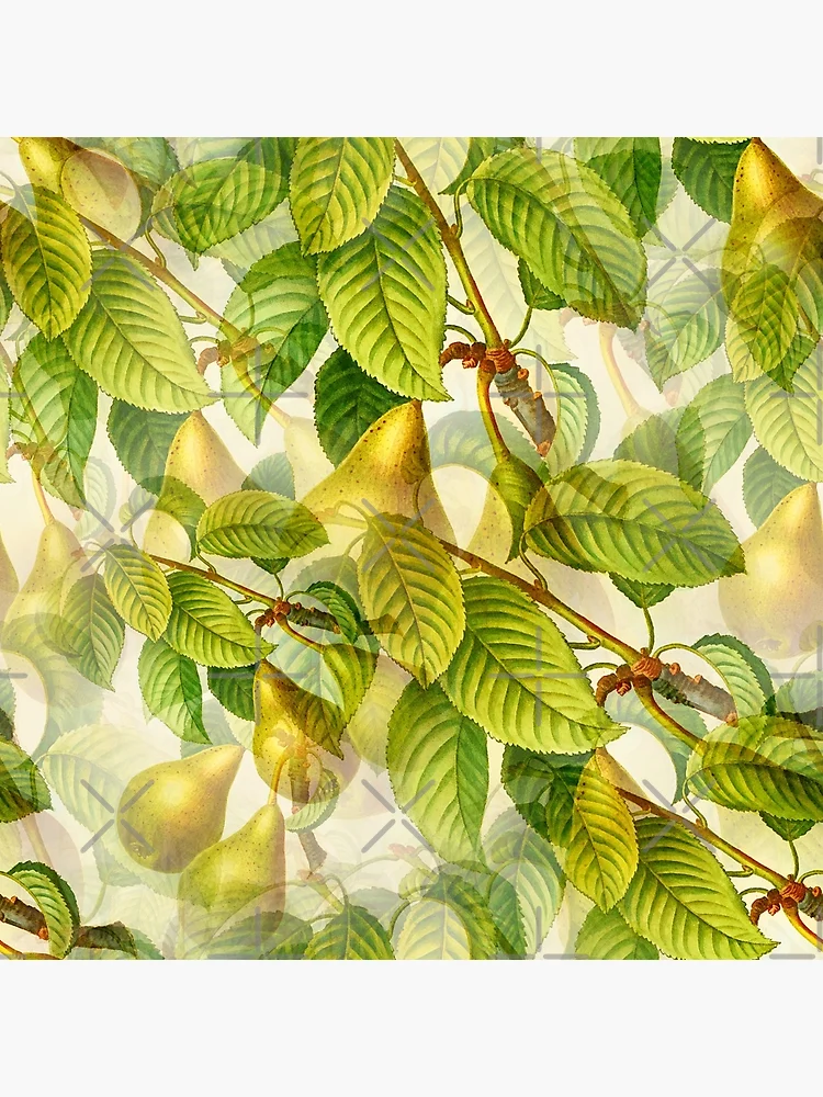 Thumbnail 2 of 2, Postcard, Pear Tree pattern designed and sold by RafaelLima7.