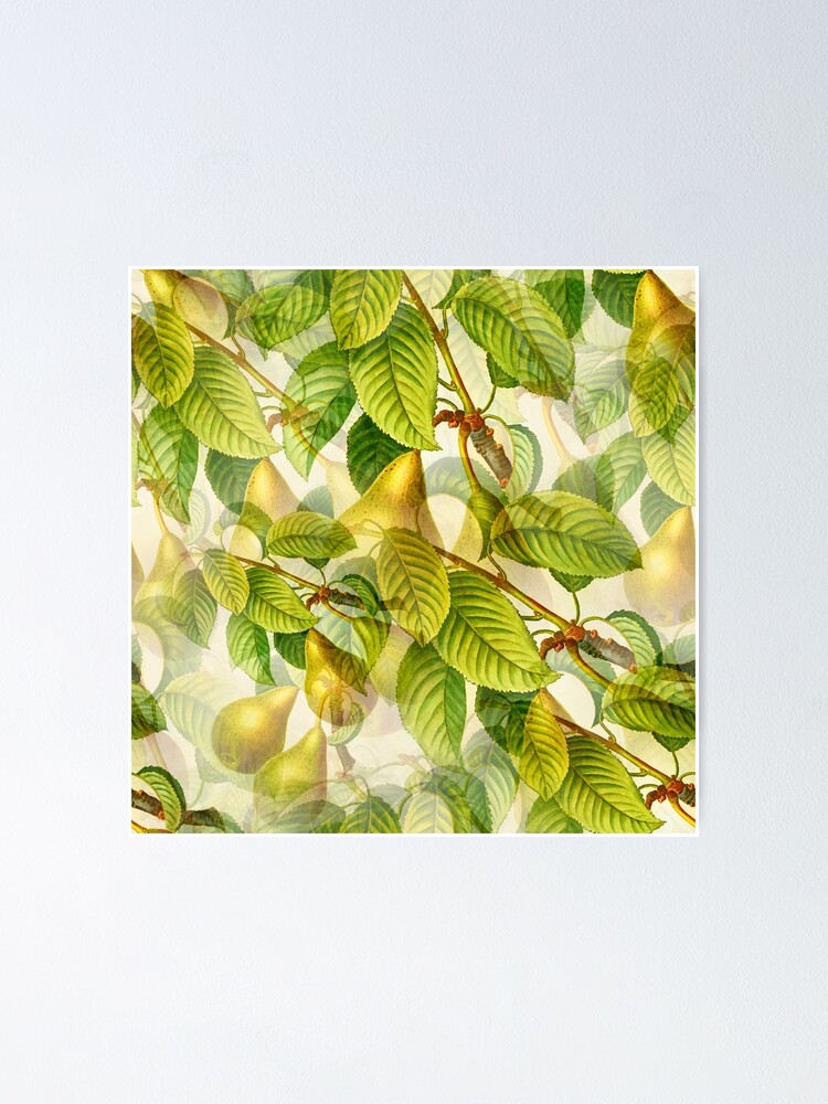 Thumbnail 1 of 3, Poster, Pear Tree pattern designed and sold by RafaelLima7.