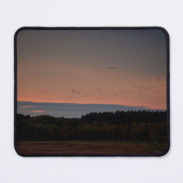 Item preview, They are coming. Eurasian crane designed and sold by Jouko Lehto Photography.