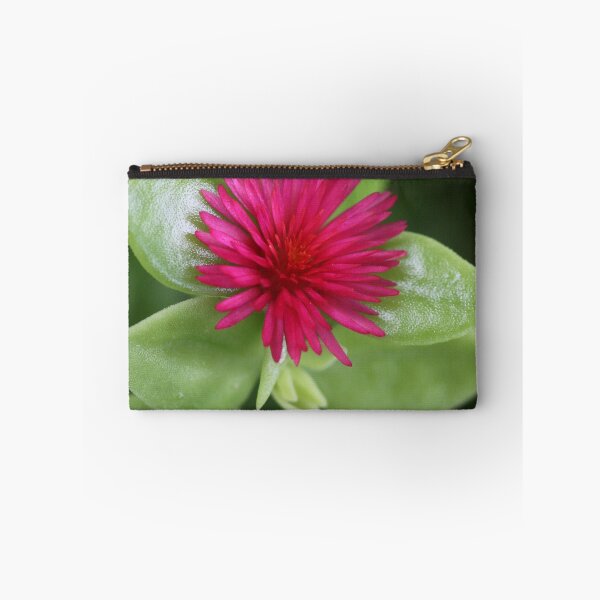 Item preview, Aptenia cordifolia designed and sold by Rina Greeff.