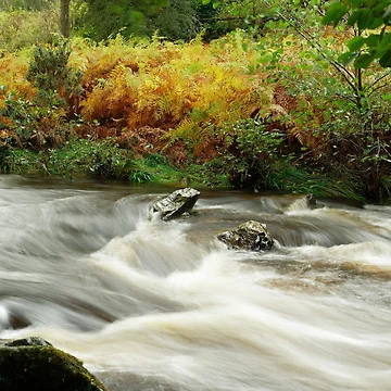 Artwork thumbnail, LITTLE RAPID by andrewsaxton
