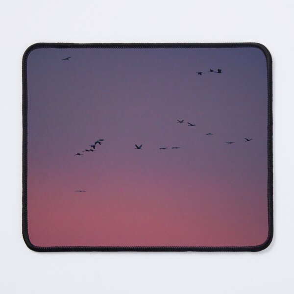 Item preview, Up in the dualtone sky. Eurasian crane designed and sold by Jouko Lehto Photography.