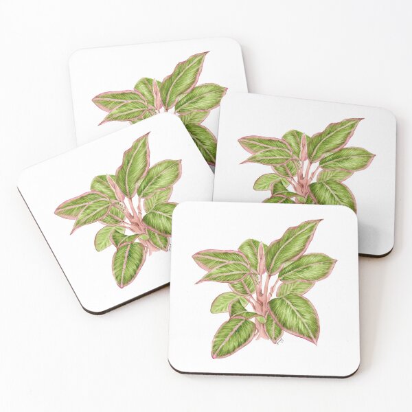 Item preview, Aglaonema plant designed and sold by PetitMartin.