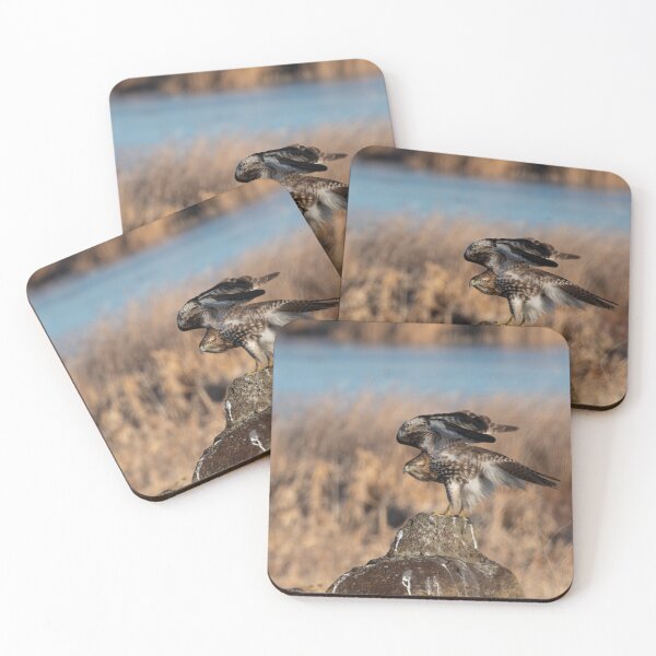 Item preview, Red-tailed Hawk stretching wings over back  designed and sold by Steven Holt.