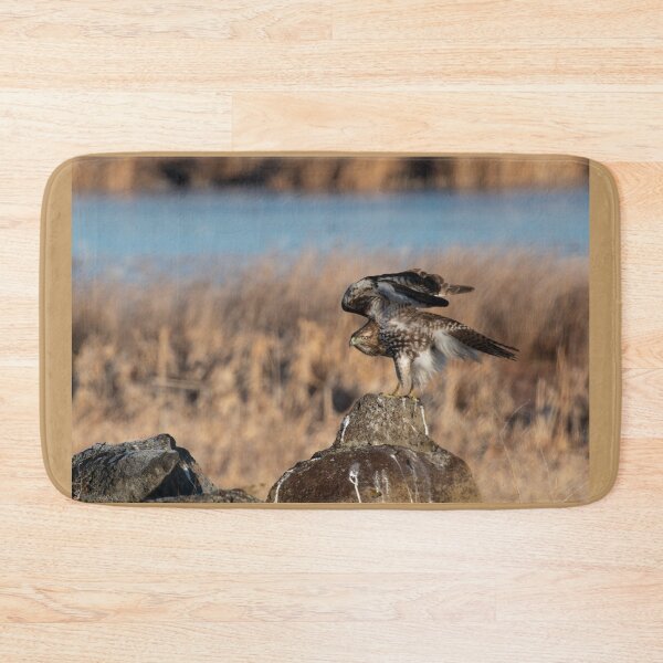 Item preview, Red-tailed Hawk stretching wings over back  designed and sold by Steven Holt.