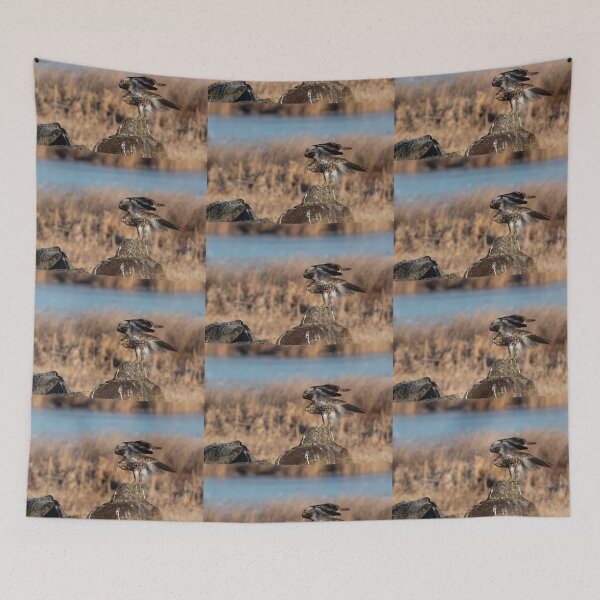 Item preview, Red-tailed Hawk stretching wings over back  designed and sold by Steven Holt.