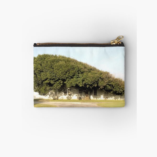 Item preview, Tree On The Coast designed and sold by SuddenJim.