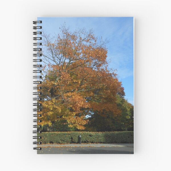 Artikelvorschau, Autumn Glory entworfen und verkauft von EasterDaffodil.