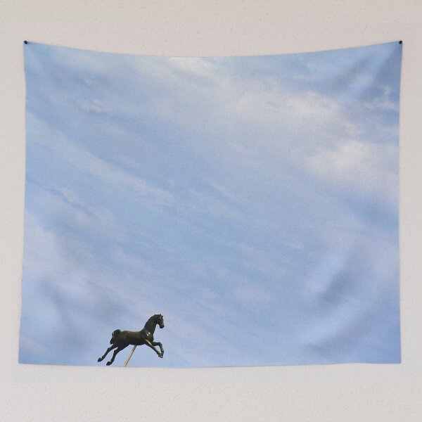 Item preview, 1997 Cavallo della Camargue designed and sold by robertoferrero.
