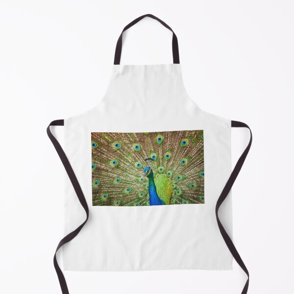 Item preview, Peacock Showing Off Feathers designed and sold by Leslie Banks.