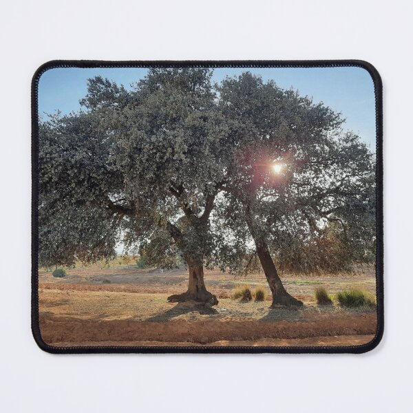 Item preview, Oak tree picture  designed and sold by Saratahirb.