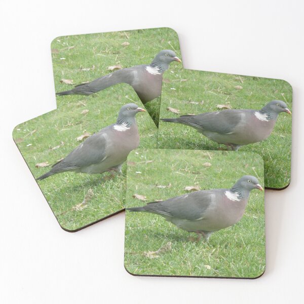 Item preview, Wood Pigeon Bird Wildlife Photograph Portrait designed and sold by naturegallery.