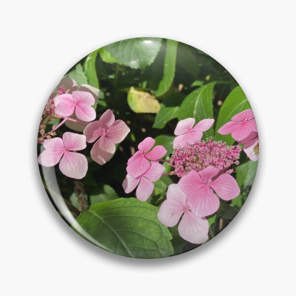 Item preview, Pink Hydrangea Garden Photography designed and sold by OByD.