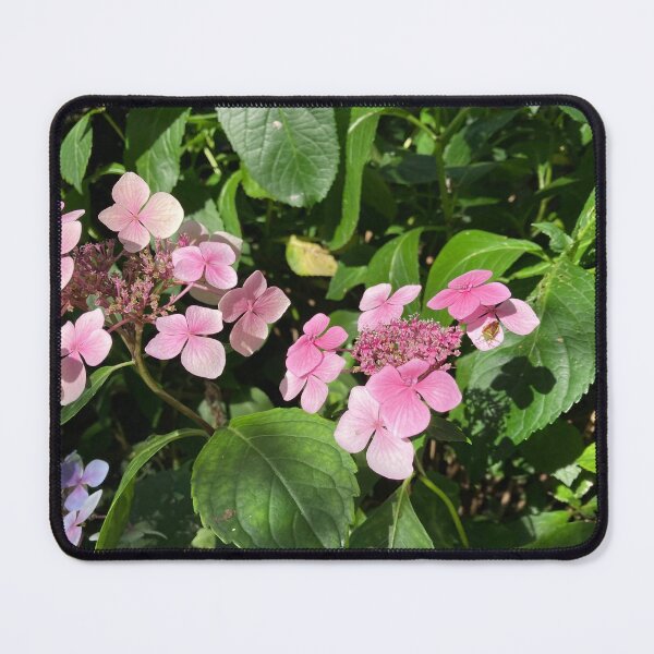 Item preview, Pink Hydrangea Garden Photography designed and sold by OByD.