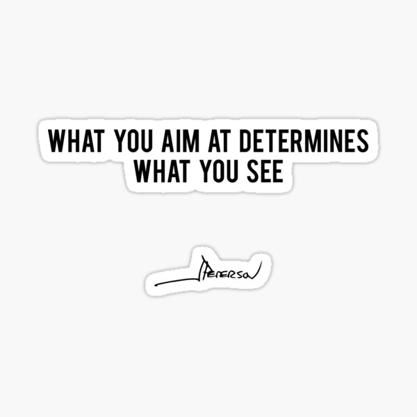 Artikel-Vorschau von What You Aim At Determines What You See - Jordan Peterson, designt und verkauft von ChaosAndOrder.