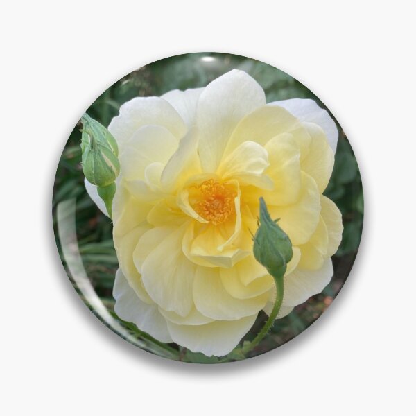 Item preview, Lemon and Yellow Rose Photography designed and sold by OByD.