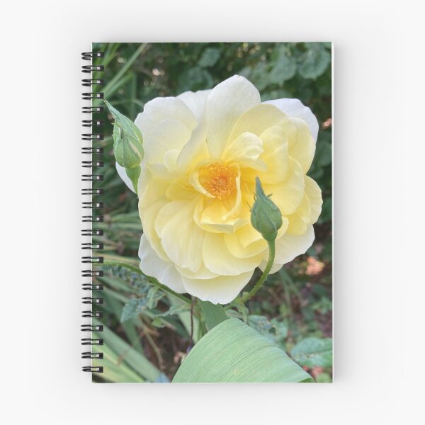 Item preview, Lemon and Yellow Rose Photography designed and sold by OByD.
