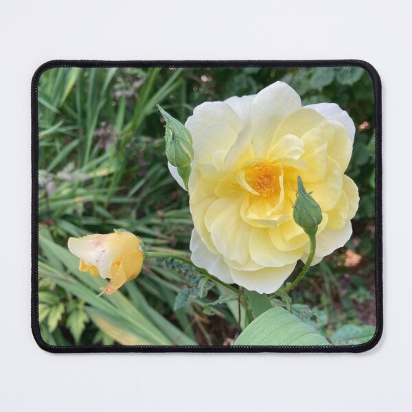 Item preview, Lemon and Yellow Rose Photography designed and sold by OByD.