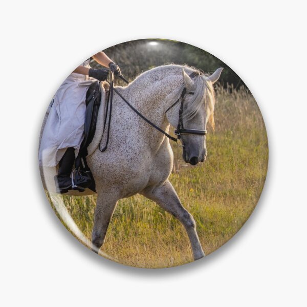Item preview, Wonderful Lusitano horse, person riding, in sunset, outdoors, on field. designed and sold by AylaHarbich.