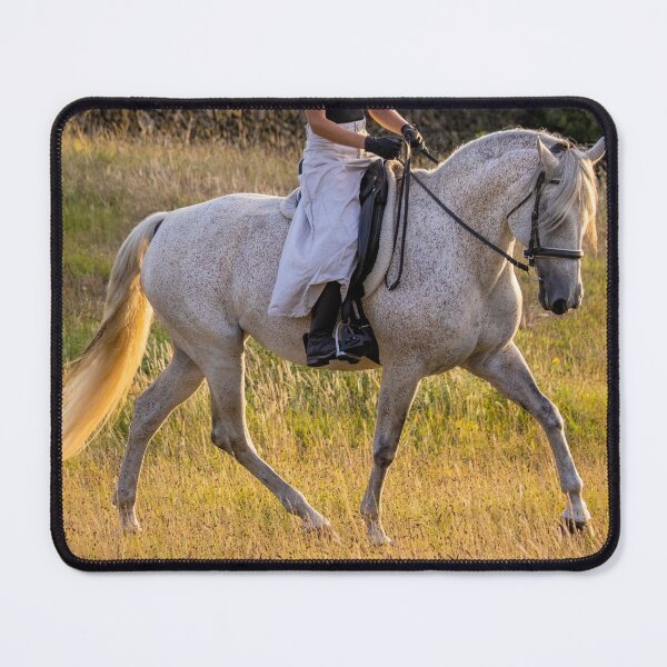 Item preview, Wonderful Lusitano horse, person riding, in sunset, outdoors, on field. designed and sold by AylaHarbich.