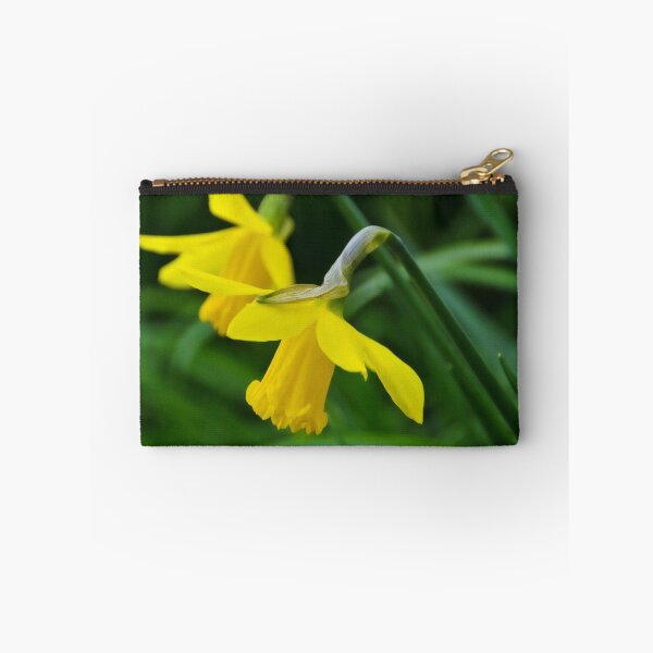 Artikelvorschau, Daffodils entworfen und verkauft von Dorset Girl.