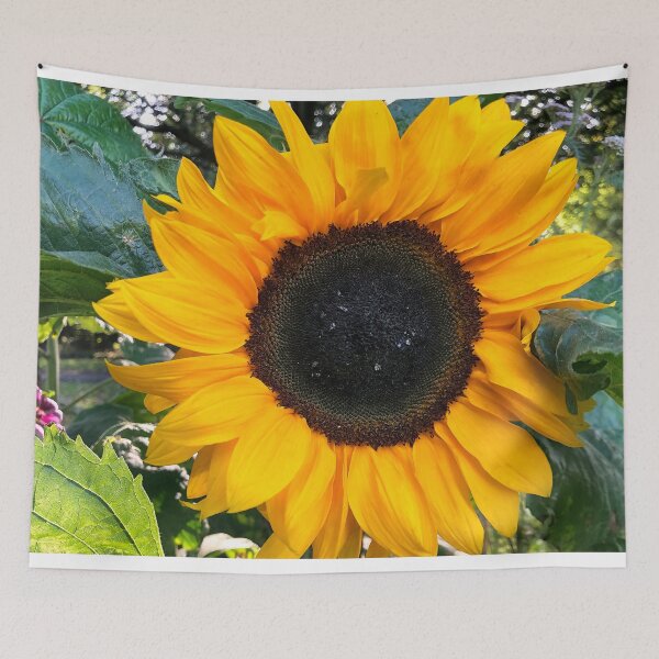 Item preview, Sunflower macro designed and sold by Violaman.