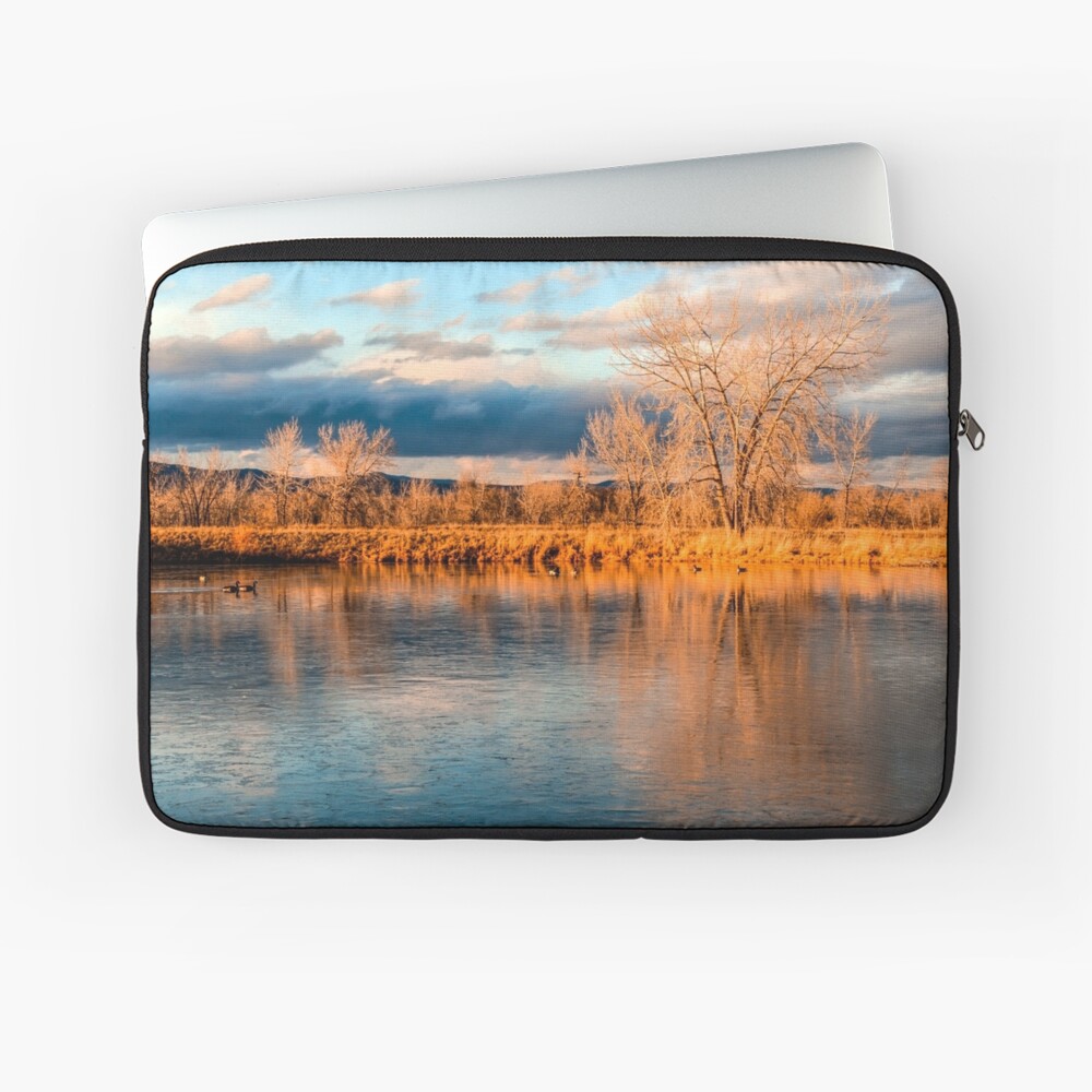 Item preview, Laptop Sleeve designed and sold by nikongreg.
