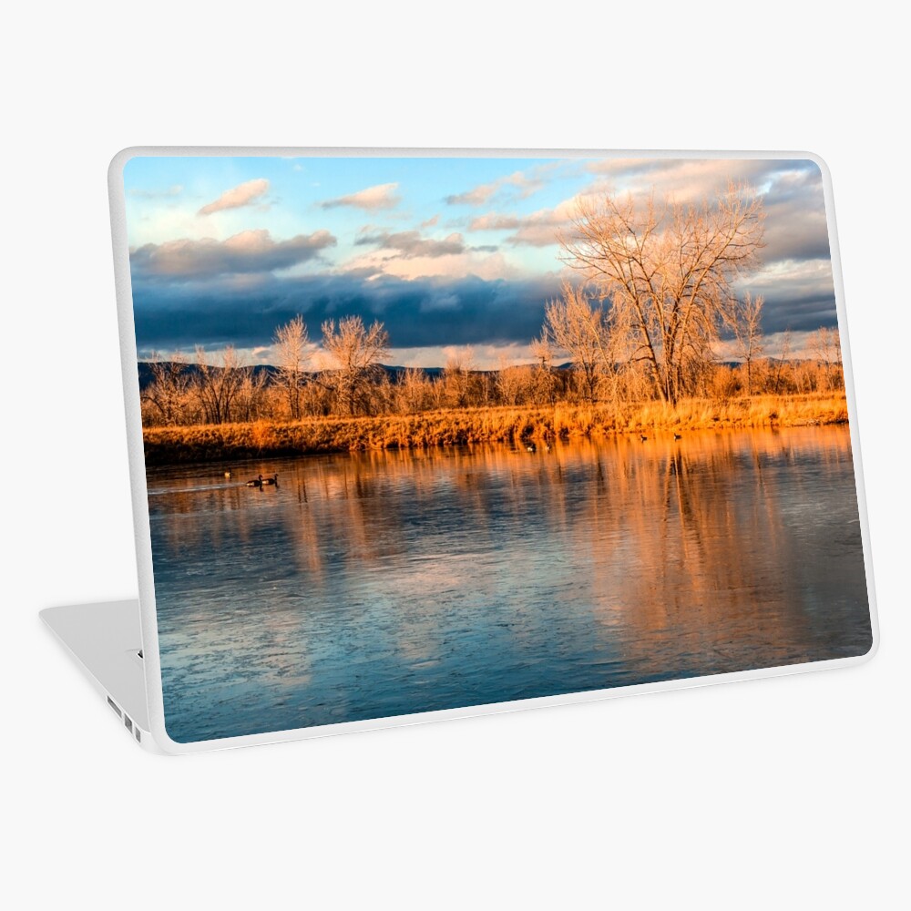 Item preview, Laptop Skin designed and sold by nikongreg.