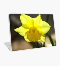 Spring Laptop Skin