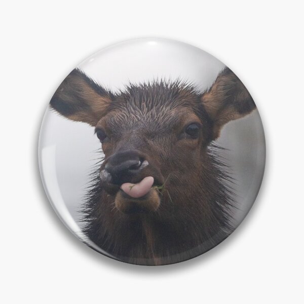 Item preview, Funny Roosevelt Elk Sticking out tongue designed and sold by Steven Holt.