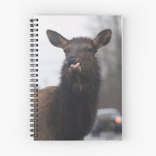 Artikelvorschau, Lustiger Roosevelt Elk mit herausgestreckter Zunge entworfen und verkauft von Steven Holt.