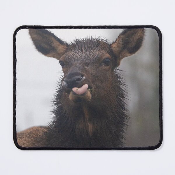 Item preview, Funny Roosevelt Elk Sticking out tongue designed and sold by Steven Holt.