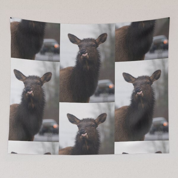 Item preview, Funny Roosevelt Elk Sticking out tongue designed and sold by Steven Holt.