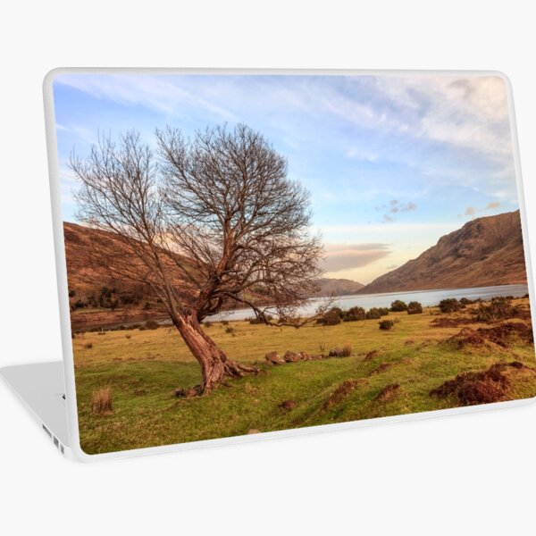 Lone Tree at Lough Nafooey Ireland. Laptop Skin