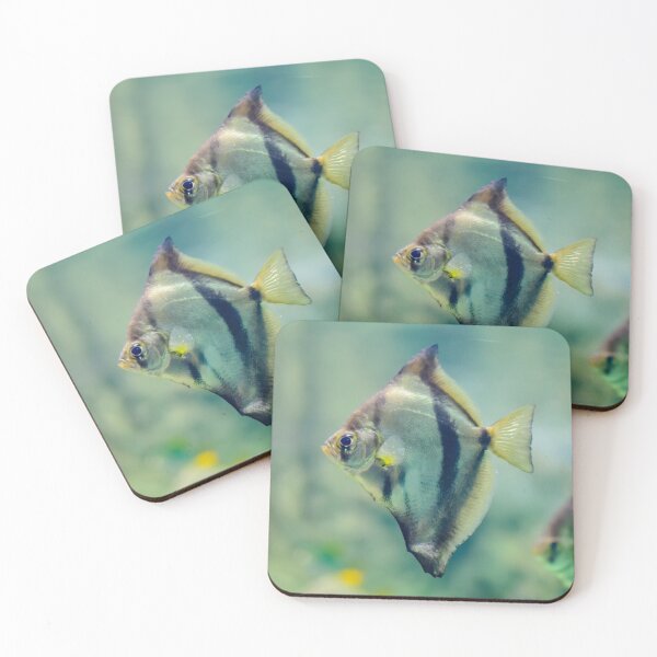 Item preview, African moony swimming in glass fish tank designed and sold by lena-maximova.