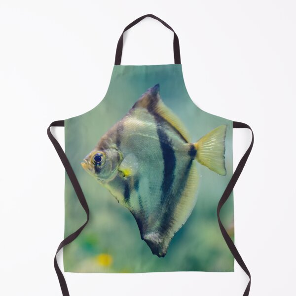 Item preview, African moony swimming in glass fish tank designed and sold by lena-maximova.