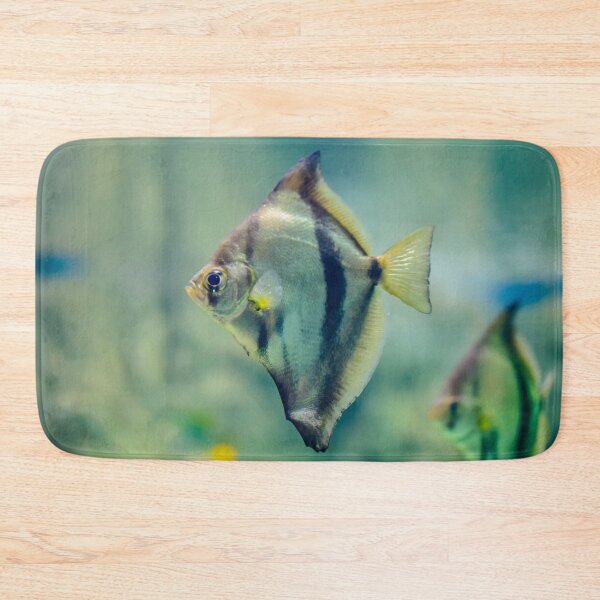 Item preview, African moony swimming in glass fish tank designed and sold by lena-maximova.