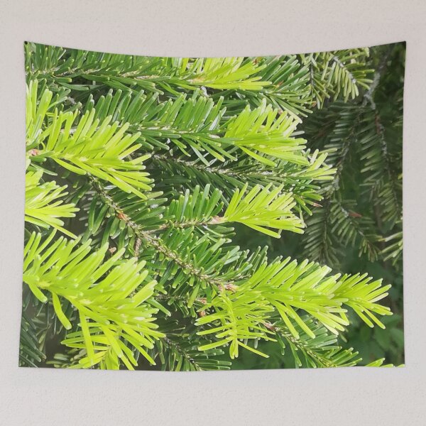 Item preview, Pine Needles designed and sold by Axi35.