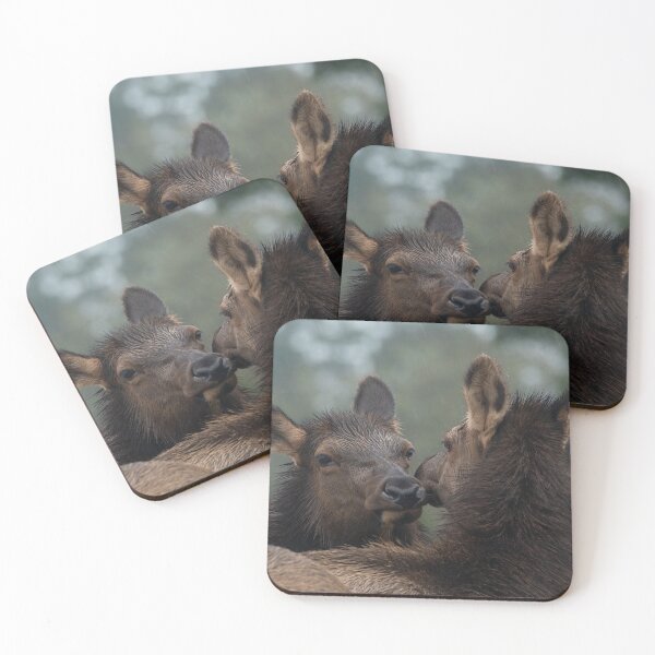 Item preview, Roosevelt Elk cows nuzzling Oregon Coast Astoria. designed and sold by Steven Holt.