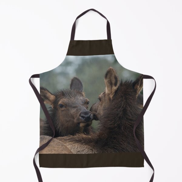 Item preview, Roosevelt Elk cows nuzzling Oregon Coast Astoria. designed and sold by Steven Holt.