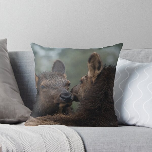 Item preview, Roosevelt Elk cows nuzzling Oregon Coast Astoria. designed and sold by Steven Holt.