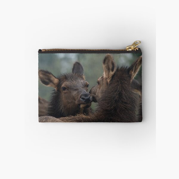Item preview, Roosevelt Elk cows nuzzling Oregon Coast Astoria. designed and sold by Steven Holt.