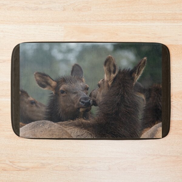 Item preview, Roosevelt Elk cows nuzzling Oregon Coast Astoria. designed and sold by Steven Holt.