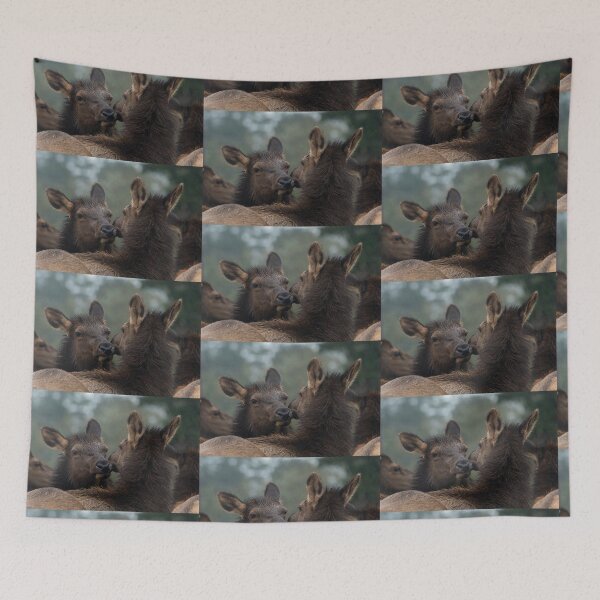 Item preview, Roosevelt Elk cows nuzzling Oregon Coast Astoria. designed and sold by Steven Holt.