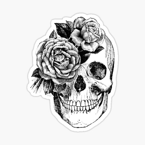 Floral Skull Anatomical Design Sticker