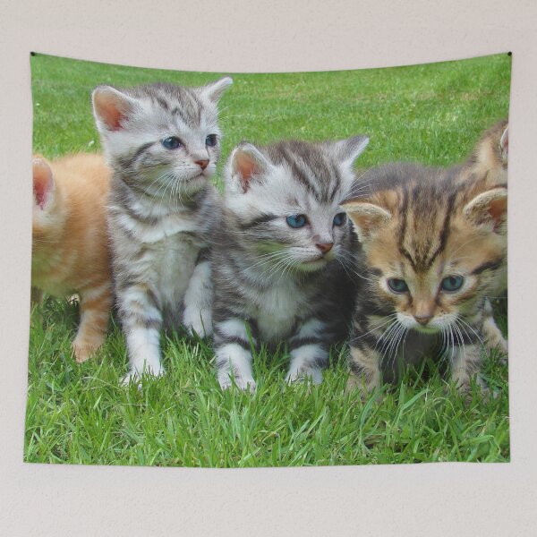 Item preview, Kittens  designed and sold by Michelle Moss.