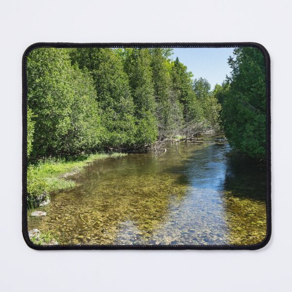 Item preview, Cypress Forest River - the Glossy Sunshine of Summer designed and sold by Georgia Mizuleva.